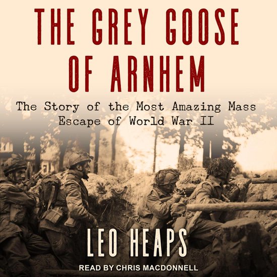 The Grey Goose of Arnhem - cover