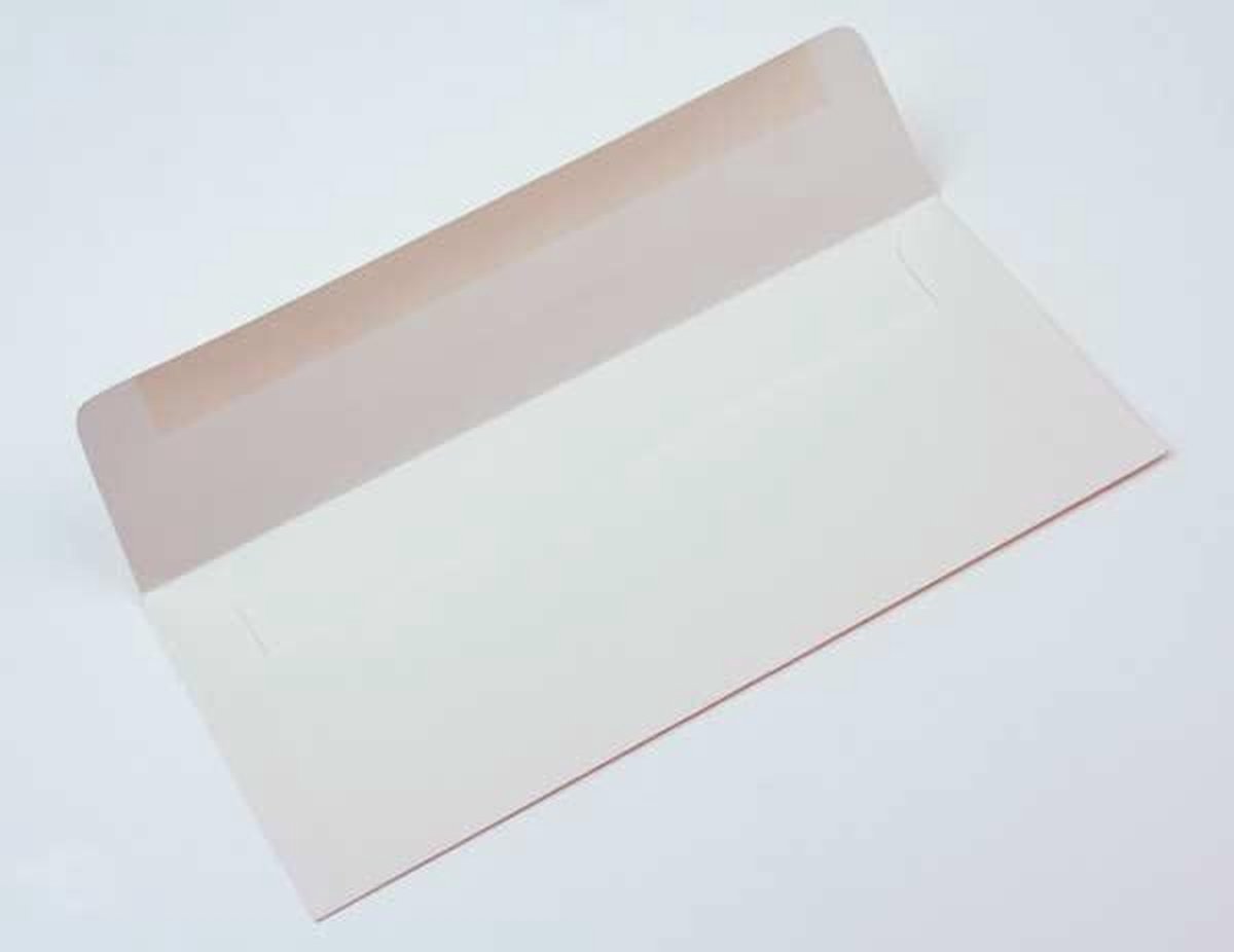 #10 Square Flap Premium Opaak24.1x10.5cm
