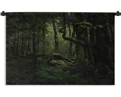 Foto: 