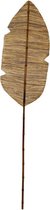 Natuurlijk blad van riet XL 3 stuks