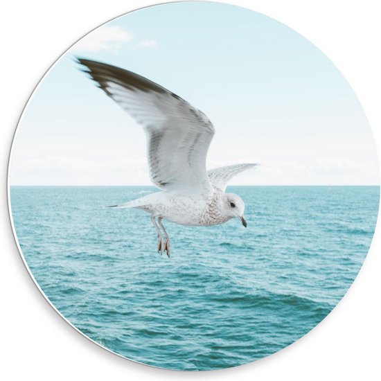 Forex Wandcirkel - Meeuw boven Zee - 30x30cm Foto op Wandcirkel (met ophangsysteem)