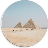 Forex Wandcirkel - Piramides met Kamelen in Egypte - 40x40cm Foto op Wandcirkel (met ophangsysteem)