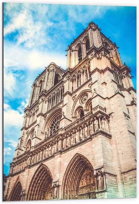Dibond - Notre-Dame van Parijs - Frankrijk - Foto op Aluminium (Met Ophangsysteem)