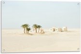 Tuinposter – Palmbomen met Wit Huisje op Zandvlakte - 90x60cm Foto op Tuinposter  (wanddecoratie voor buiten en binnen)