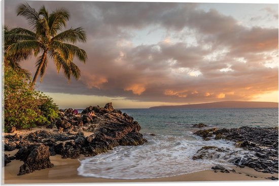 Acrylglas - Hawaï Strand met Ondergaande Zon - 60x40cm Foto op Acrylglas (Met Ophangsysteem)