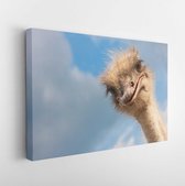 Onlinecanvas - Schilderij - Ostrich Head Closeup Outdoors Art Horizontal Horizontal - Multicolor - 60 X 80 Cm