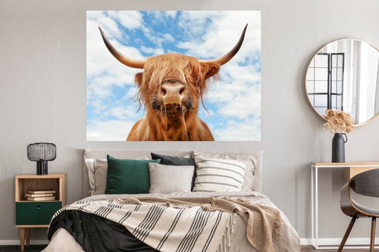Affiche Highlander écossais - Nuage - Animaux - 160x120 cm XXL