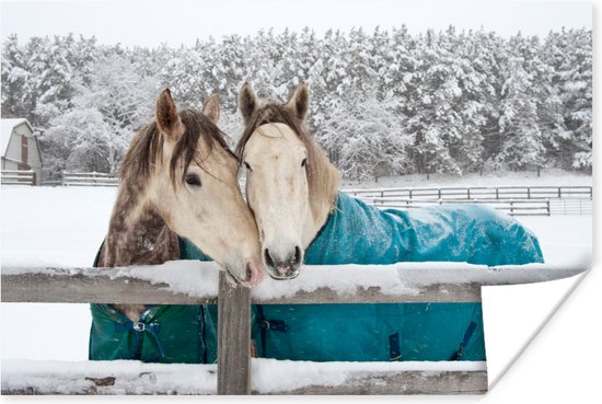 Poster - Paarden in een sneeuwstorm