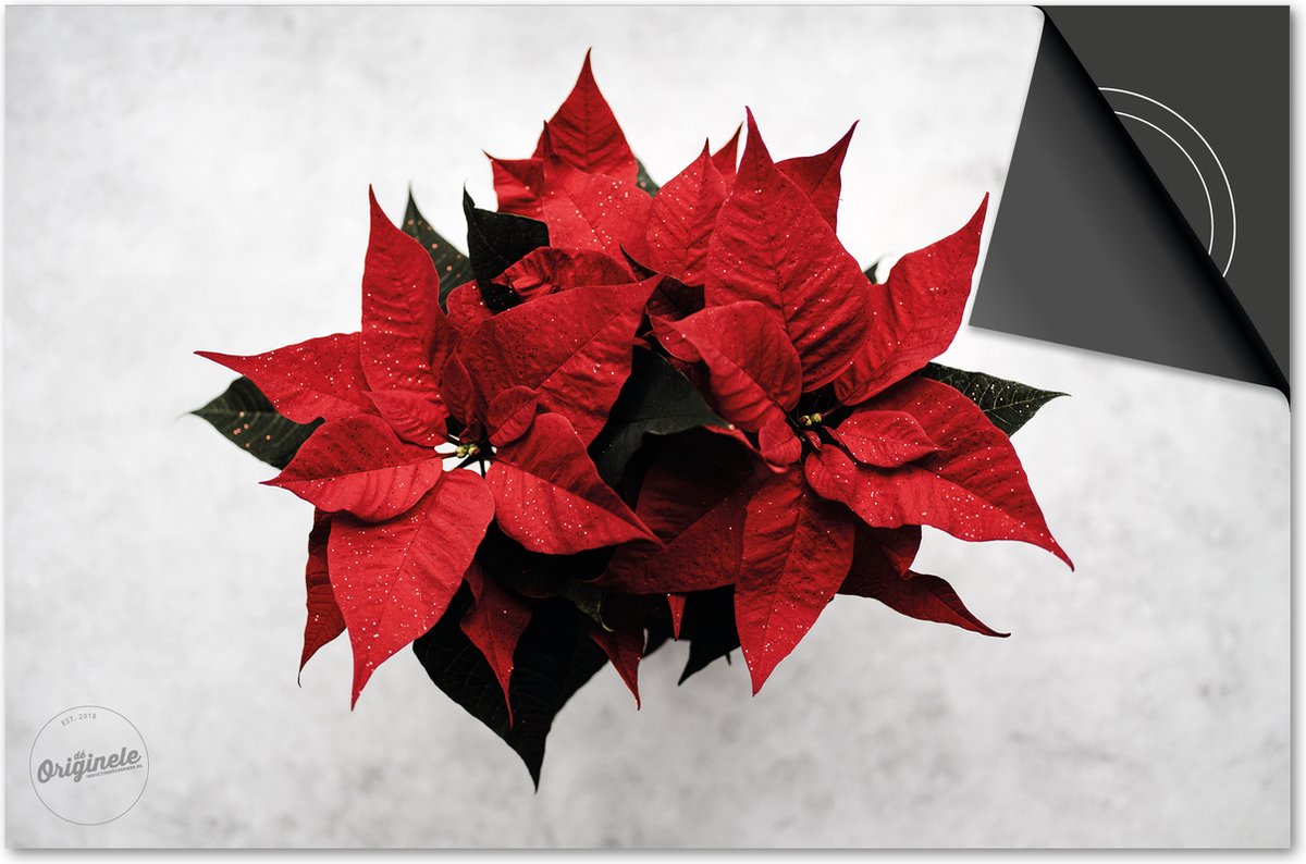 Inductie beschermer 60x52 - afdekplaat inductie mat - Dietrix Kookplaat beschermer - DELUXE - Feestdagen - Kerstster plant