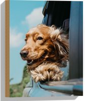 WallClassics - Hout - Bruine Hond hangend uit Autoraam - 30x40 cm - 9 mm dik - Foto op Hout (Met Ophangsysteem)