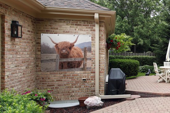 Affiche de jardin - Toile de jardin - Posters de jardin extérieur - Highlander écossais - Herbe - Clôture - 120x90 cm - Jardin