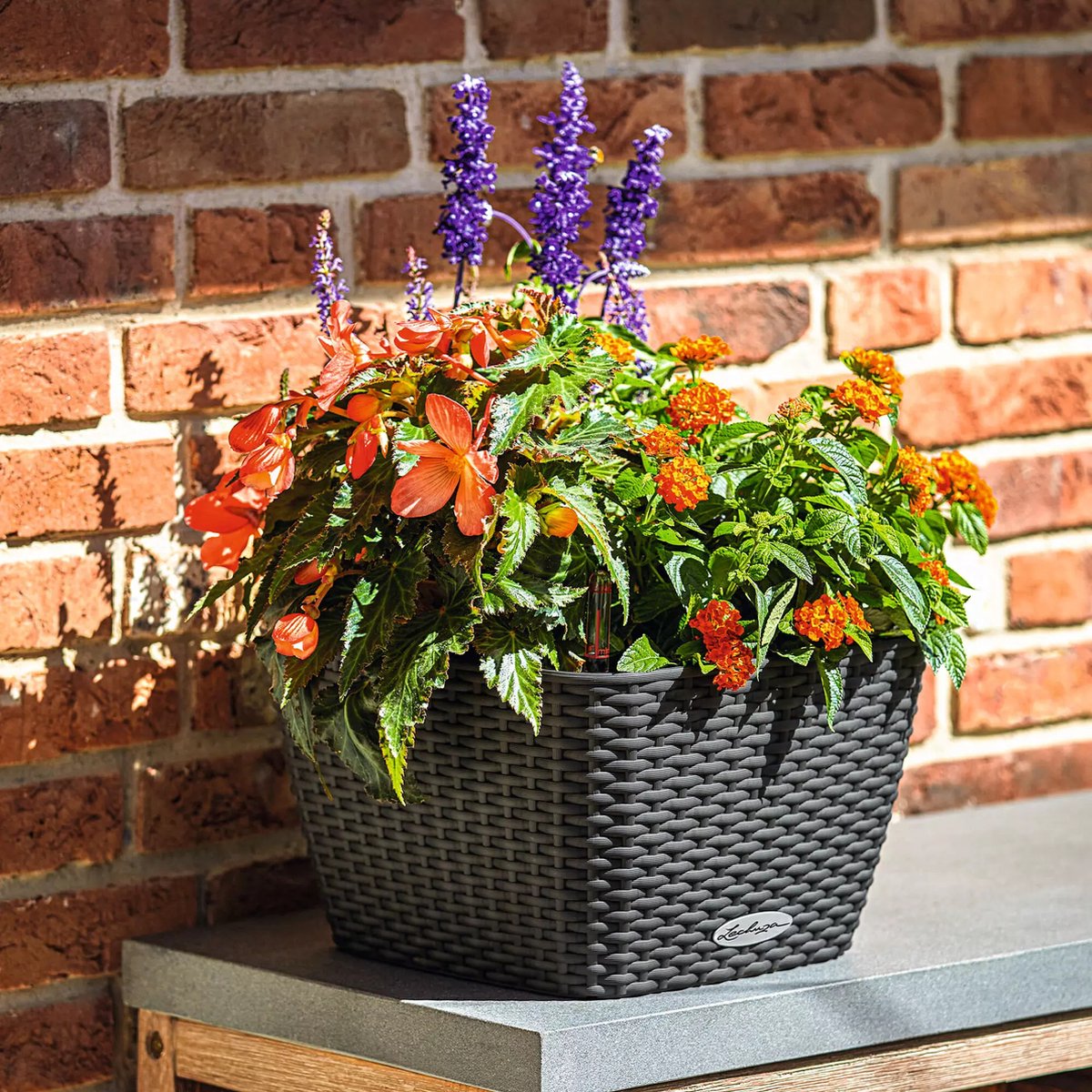 Lechuza Bacino Cottage - Jardinière - pot intérieur amovible