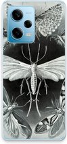 Haeckel Tineida
