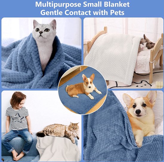 TrendPet