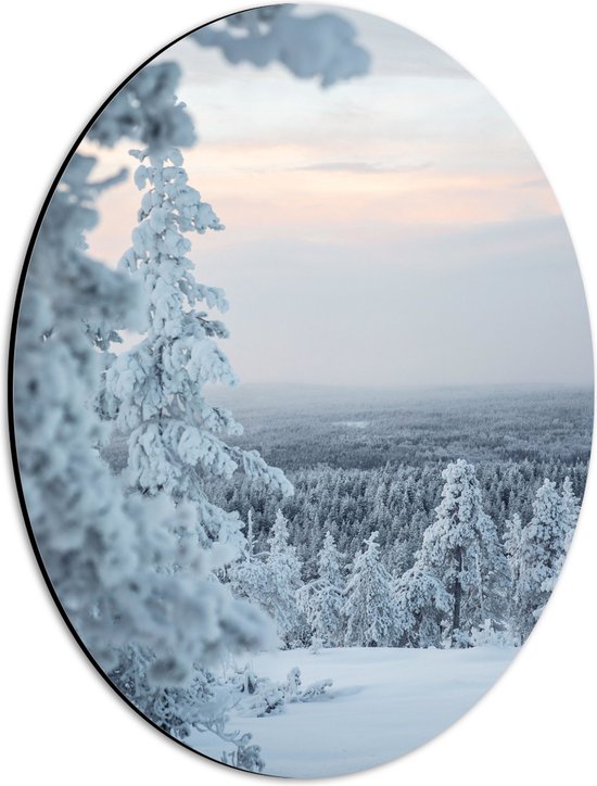 WallClassics - Dibond Ovaal - Uitzicht over Wit Sneeuwlandschap - 30x40 cm Foto op Ovaal (Met Ophangsysteem)