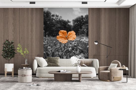 Papier peint - Papiers Papier peint photo Fleurs - Zwart - Wit - Oranje - Largeur 225 cm x Hauteur 350 cm