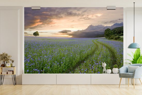 Papier peint - Papier peint - Papier peint photo de soleil fleurs bleues et violettes - Largeur 420 cm x hauteur 280 cm