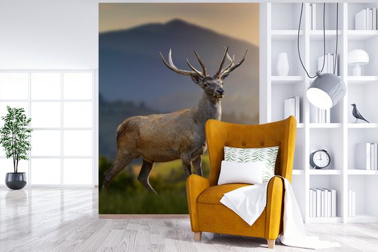 Behang - Fotobehang Hert - Berg - Gras - Zonsondergang - Dieren - Natuur - Breedte 165 cm x hoogte 220 cm