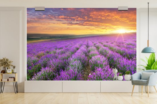 Behang - Fotobehang Lavendel - Wolken - Lente - Breedte 450 cm x hoogte 300 cm