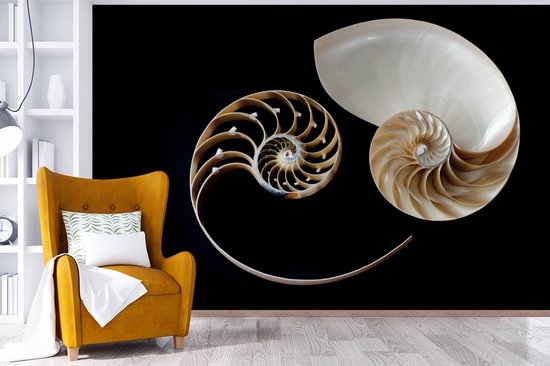 Symbole Yin et Yang de fotobehang escargot