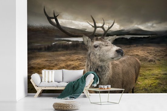 Papier peint photo peint photo vinyle - Gros plan cerf largeur 360 cm x hauteur 240 cm - Tirage photo sur papier peint (disponible en 7 tailles)