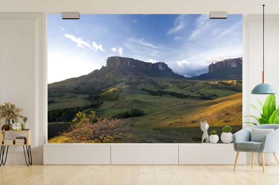Papier peint vinyle - Coucher de soleil dans le parc national de Canaima au Venezuela largeur 390 cm x hauteur 260 cm - Tirage photo sur papier peint (disponible en 7 tailles)