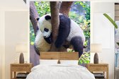 Behang - Fotobehang Panda - Takken - Boom - Breedte 165 cm x hoogte 220 cm