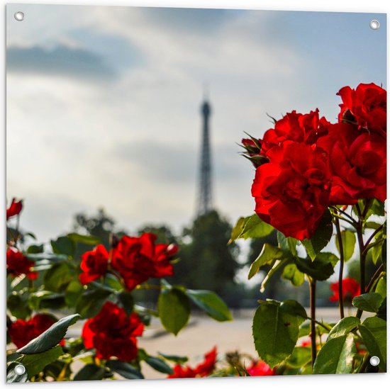 Tuinposter – Rode Rozenstruik voor Eiffeltoren in Parijs, Frankrijk - 80x80 cm Foto op Tuinposter (wanddecoratie voor buiten en binnen)