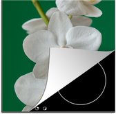 KitchenYeah® Inductie beschermer 78x78 cm - Orchidee met groene achtergrond - Kookplaataccessoires - Afdekplaat voor kookplaat - Inductiebeschermer - Inductiemat - Inductieplaat mat