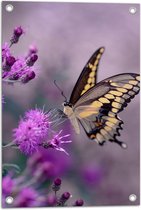 Tuinposter – Vlinder op de Paarse Bloemen - 40x60 cm Foto op Tuinposter (wanddecoratie voor buiten en binnen)
