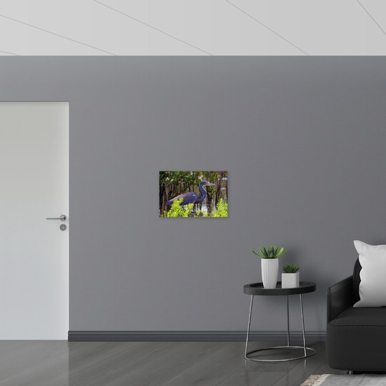 WallClassics - Toile - Petit héron bleu dans Water avec Plantes - Photo sur toile 60x40 cm (Décoration murale )