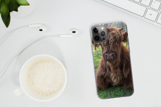 Coque iPhone 13 Pro - Highlander écossais - Crapaud - Animaux - Coque de téléphone en Siliconen