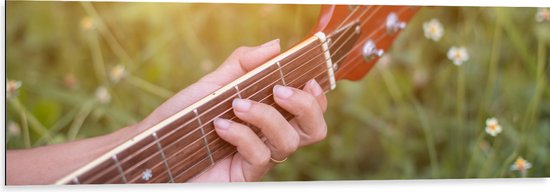 Dibond - Close-up van Vrouwenhand op Bruine Gitaar in Bloemenveld - 120x40 cm Foto op Aluminium (Met Ophangsysteem)