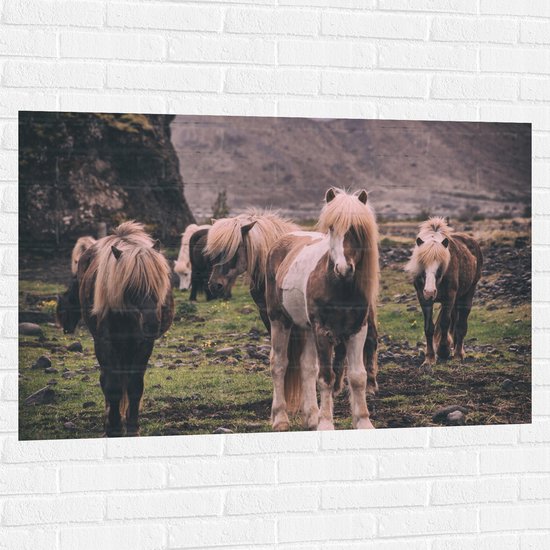 WallClassics - Muursticker - Kudde Friese Paarden - 120x80 cm Foto op Muursticker