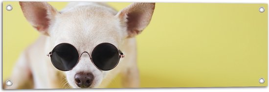 Tuinposter – Coole Chihuahua Hond met Zonnebril op Gele Achtergrond - 90x30 cm Foto op Tuinposter (wanddecoratie voor buiten en binnen)