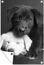 Muurdecoratie Honden - Puppy - Zwart - Wit - Dieren - 120x180 cm - Tuinposter - Tuindoek - Buitenposter