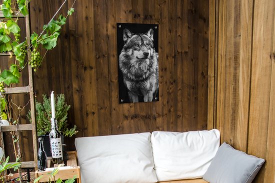Affiche de jardin Loup - Animaux - Sauvage - Zwart - Wit - 40x80 cm - Décoration murale Extérieur - Affiche de jardin - Toile de jardin - Affiche de clôture - Peinture de jardin