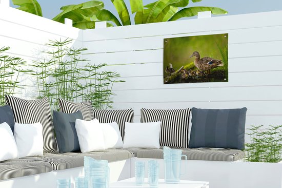 Décoration de Jardin Canard - Vogels - Water - Branche - Mousse - 40x30 cm