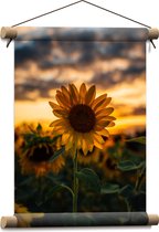 WallClassics - Affiche textile - Tournesol dans un champ avec coucher de soleil - 30x40 cm Photo sur textile