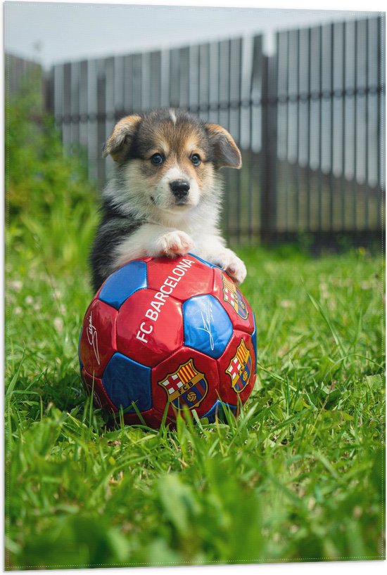 WallClassics - Vlag - Hondje Speelt met een Voetbal - 50x75 cm Foto op Polyester Vlag