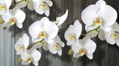 Fotobehang - Vlies Behang - Orchideeën op Houten Planken - 254 x 184 cm