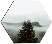 Dibond Hexagon - Grote Groene Boom in Mist tussen Bossen - 40x34.8 cm Foto op Hexagon (Met Ophangsysteem)