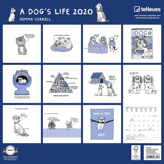 A Dog's Life 2020 Broschürenkalender - TeNeues