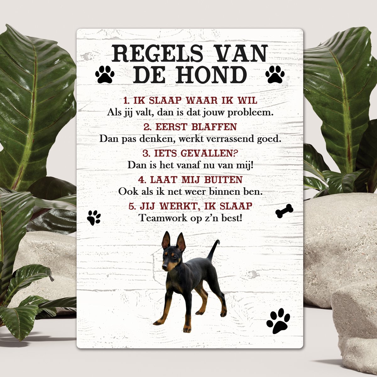 Spreuken - Doberman Pinscher - Regels Van De Hond - Spreuken Bordjes - Spreukenbord - Tekstborden - Cadeau - Hondenras