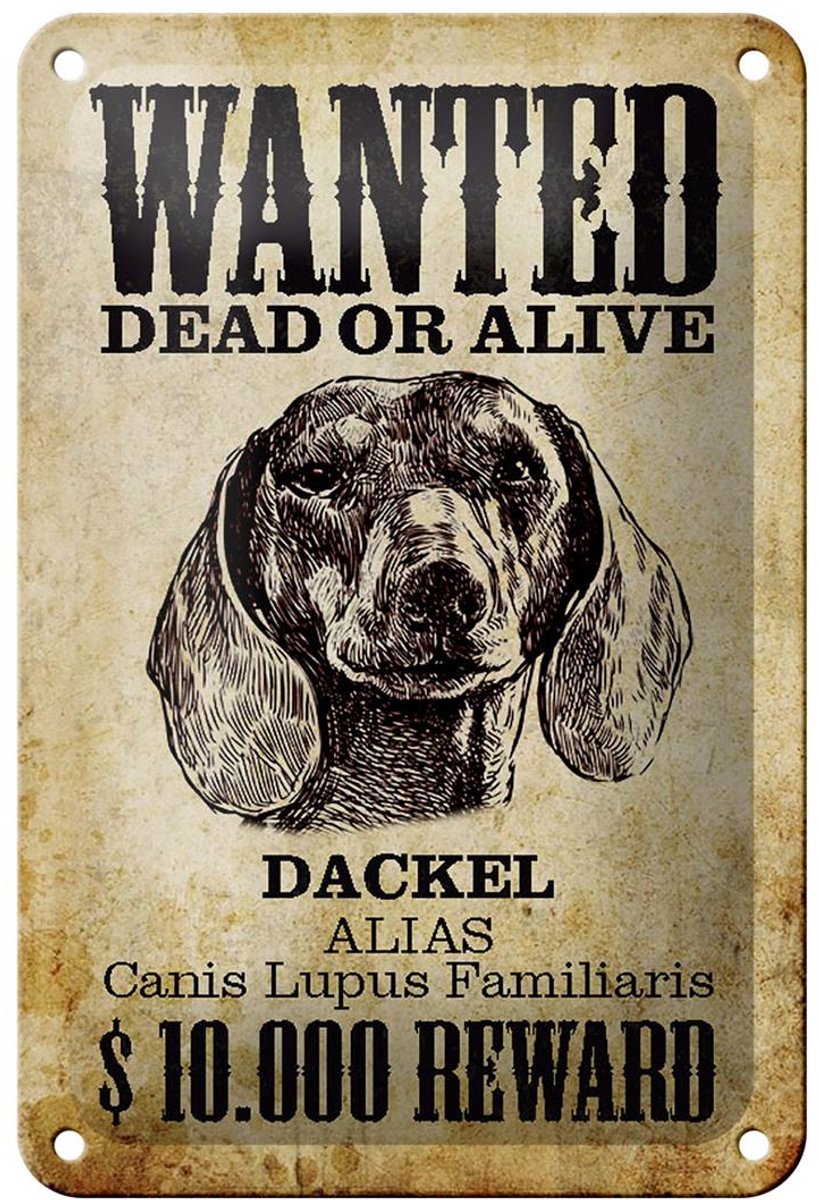 Blechschild Hund 12x18cm wanted dead Dackel Alias