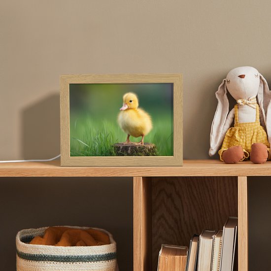 Nachtlampje 20x15 cm - Kinder lampje - Kuiken - Eend - Geel - Gras - Tafellamp kinderkamer - Slaapkamer lamp - Bedlamp kinderen - Kinderlampje stopcontact - Wandlamp babykamer - Nachtlampjes van Merkloos — afbeelding 3