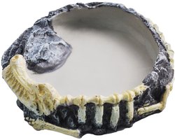 Voer- en waterbakken voor reptielen, harsstenen, voederbakken voor gekko's, schildpaddenvoeders, voer- en waterbakken, drinkbakken voor amfibieën, reptielenhabitats, aquariumaccessoires voor schildpadden, hagedissen, luipaardgekko's en kameleons