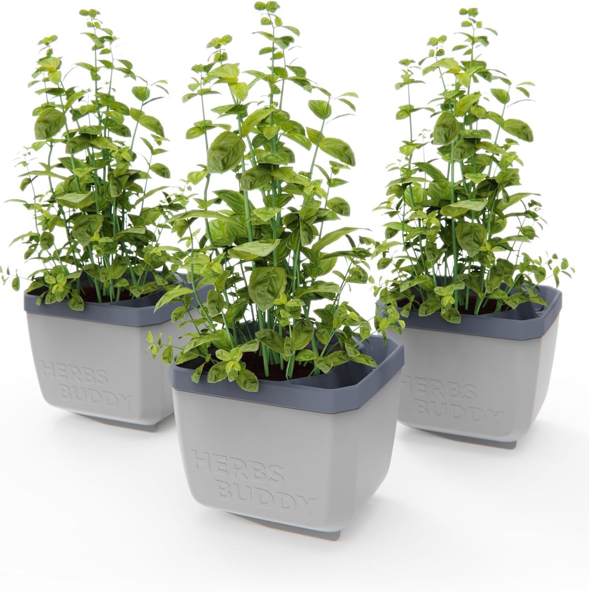 GUSTA GARDEN Herbs Buddy - Zelfbewaterende pot & kruidenpot voor keuken & vensterbank, ideaal voor basilicum, watertank, waterniveau-indicator
