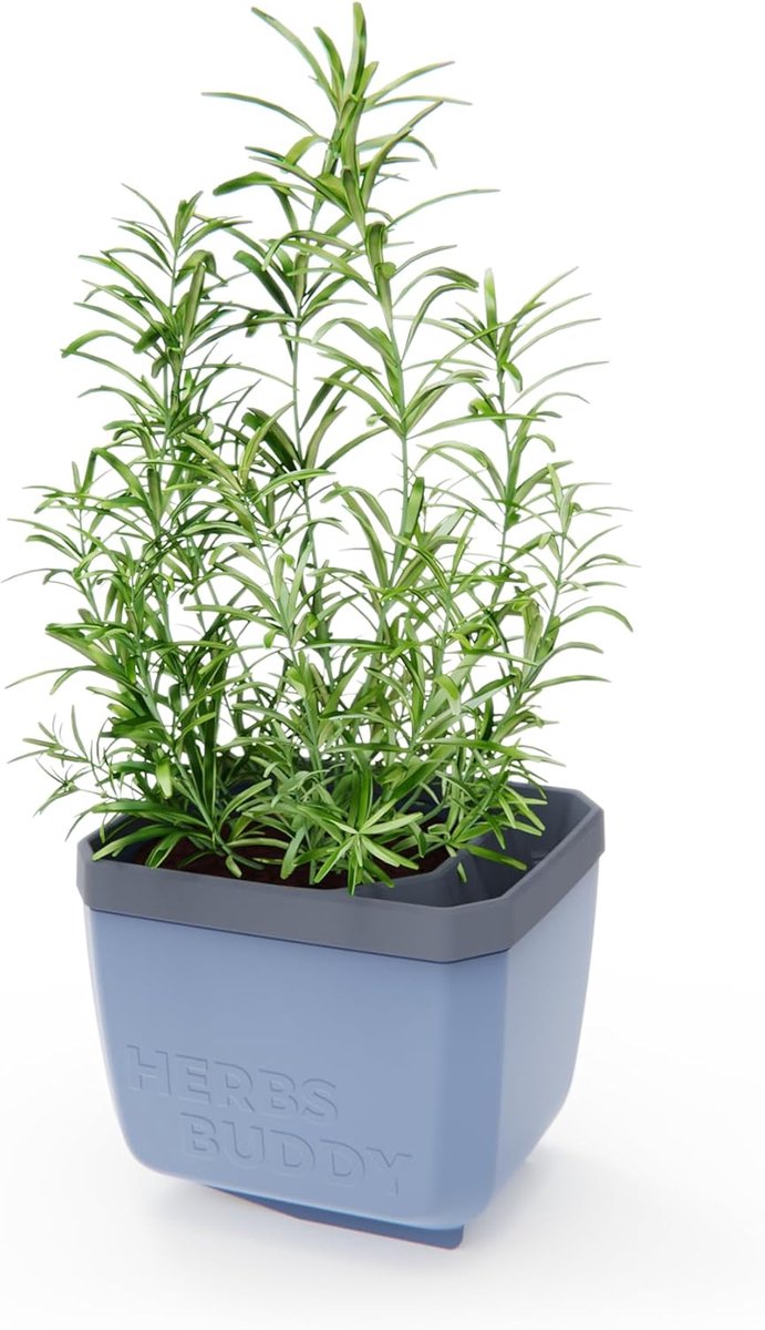GUSTA GARDEN Herbs Buddy - Zelfbewaterende pot & kruidenpot voor keuken & vensterbank, ideaal voor basilicum, watertank, waterniveau-indicator
