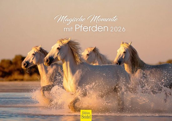 Edition Seidel Premium kalender paarden 2026 formaat DIN A4